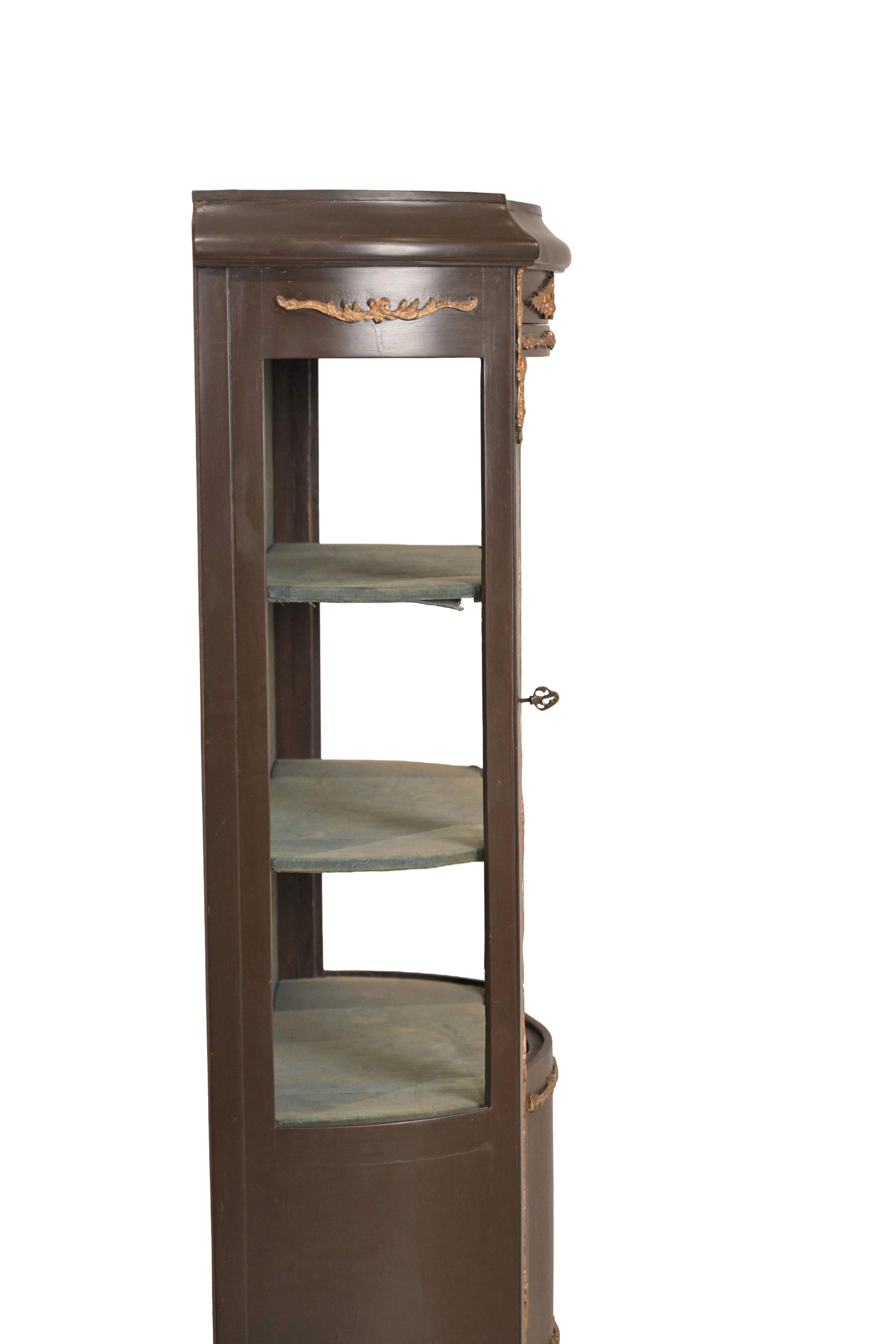 French Antique Curio Display Cabinet