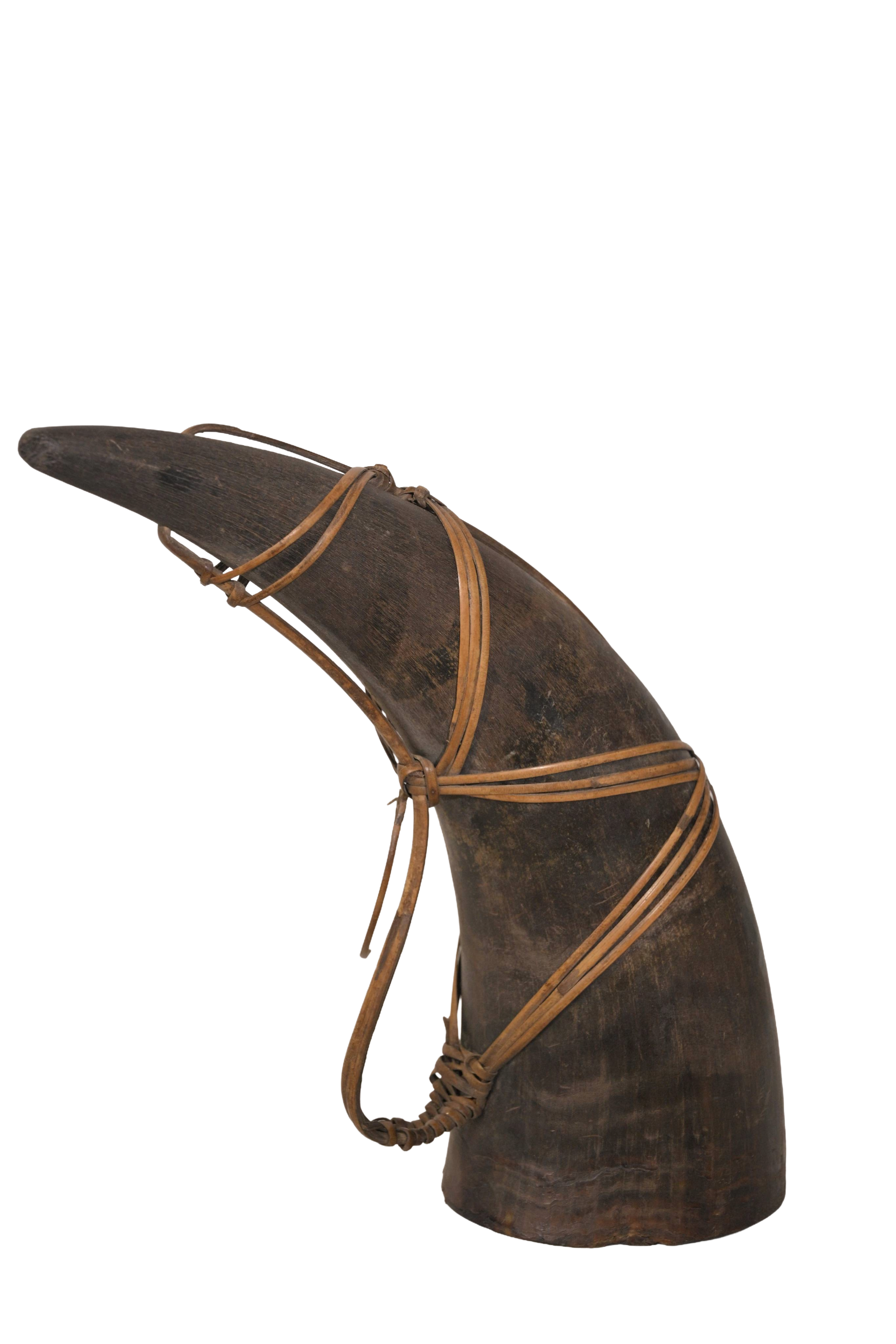 Antique Curved Horn Artifact