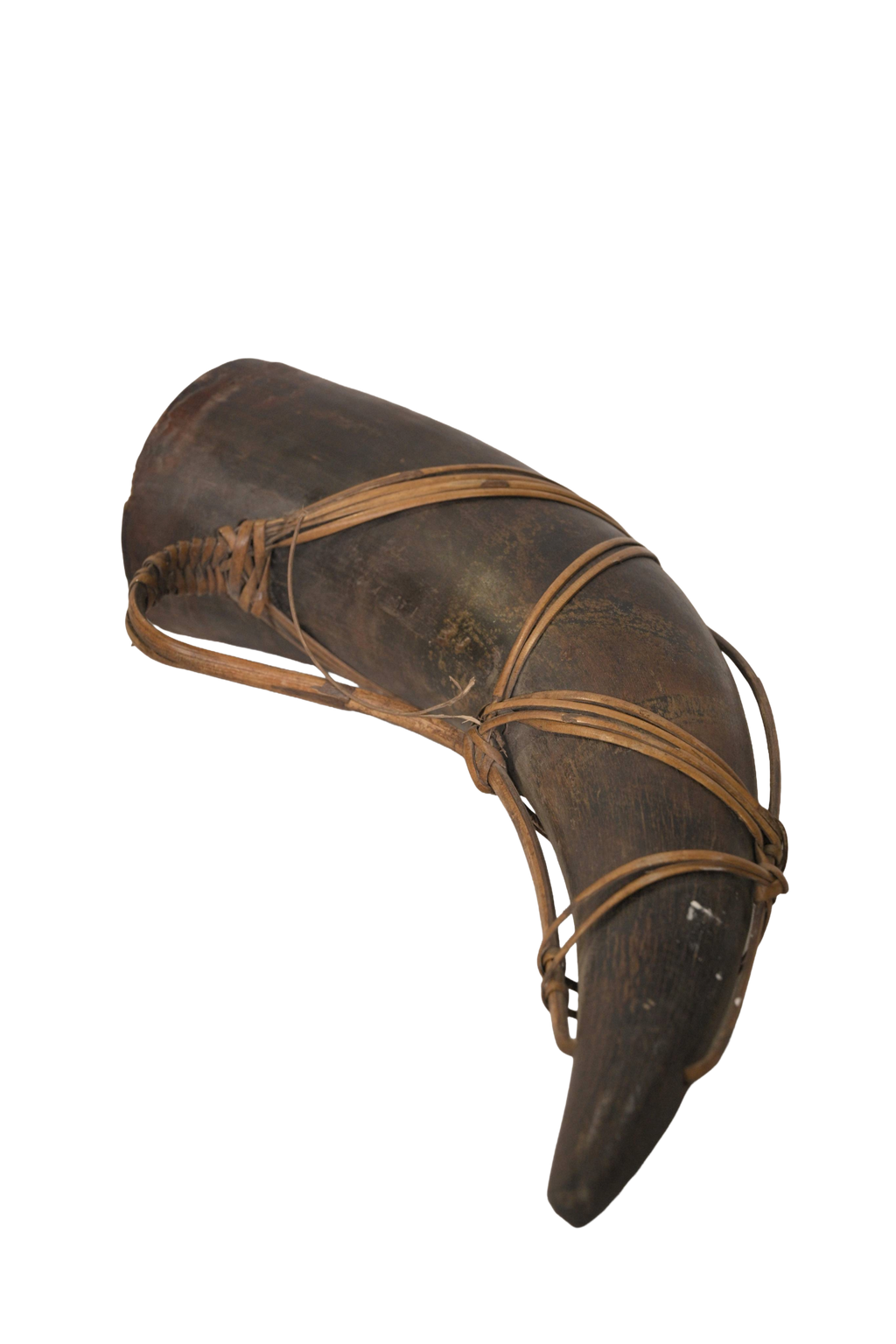 Antique Curved Horn Artifact