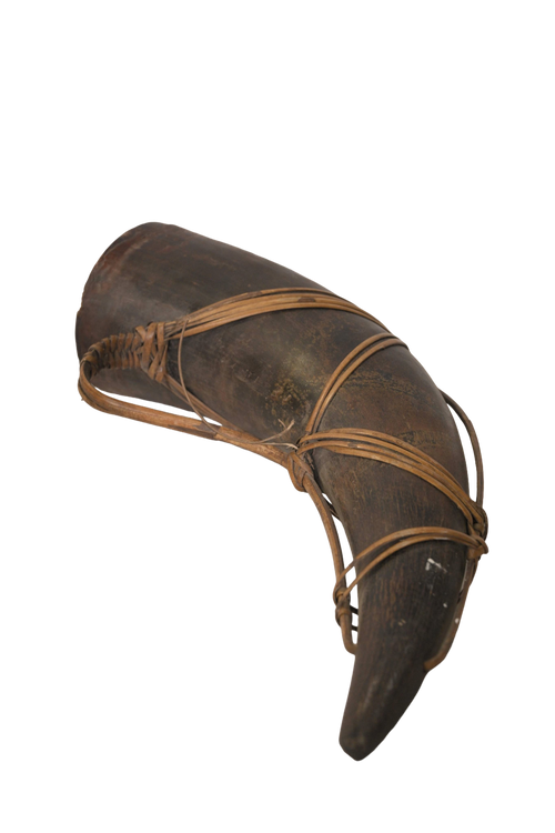 Antique Curved Horn Artifact