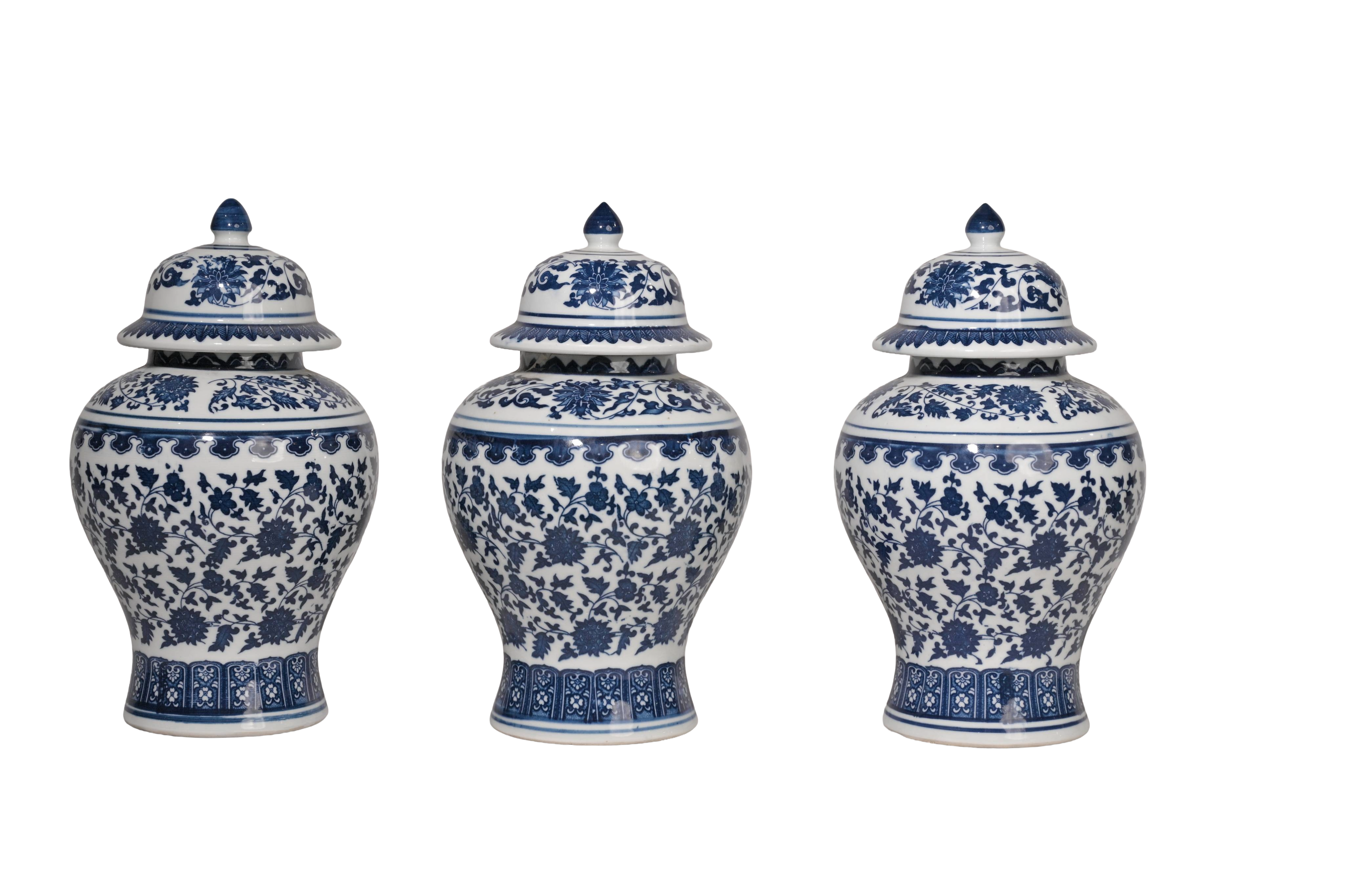 Blue White Porcelain Ginger Jar Collection