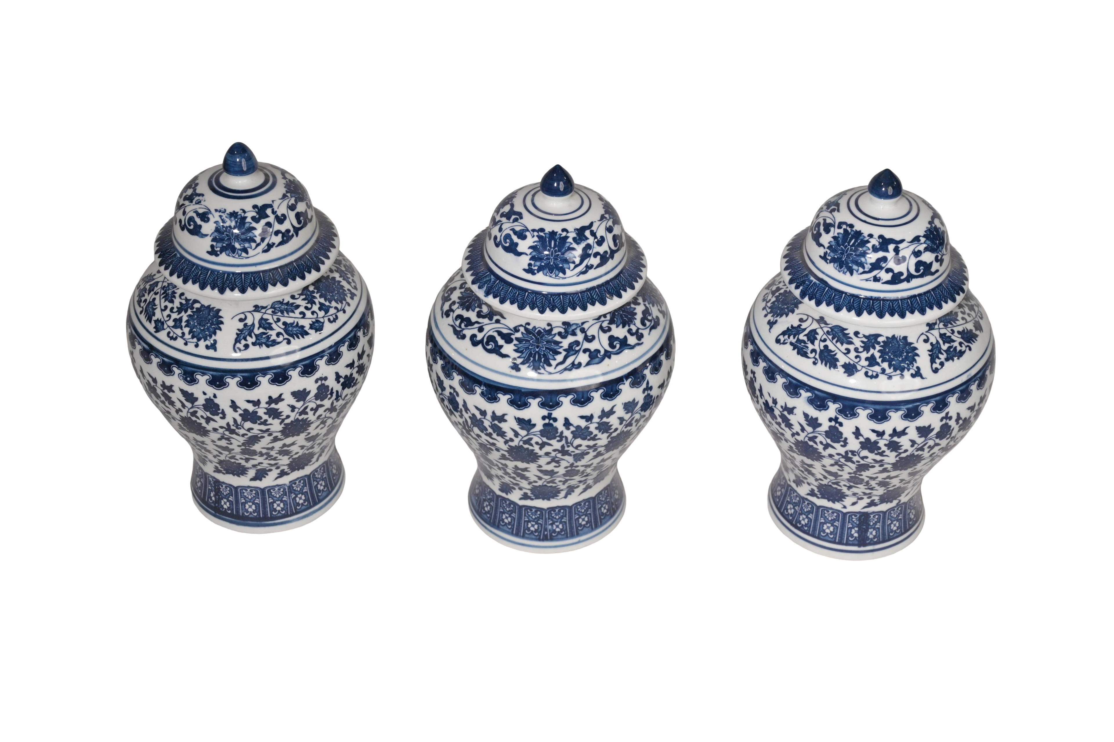 Blue White Porcelain Ginger Jar Collection